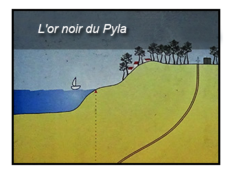 L’or noir du Pyla sur mer