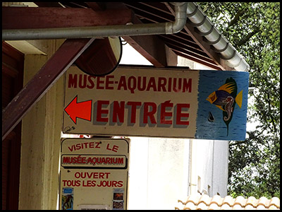 Musée Aquarium