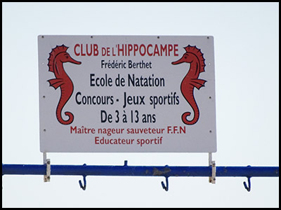 165-club-mickey-l-hippocampe-club-plage-pyla