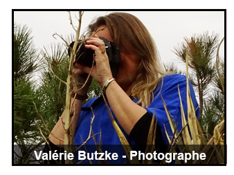 Rencontre Valérie Butzke photographe
