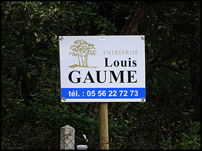 Groupe Gaume