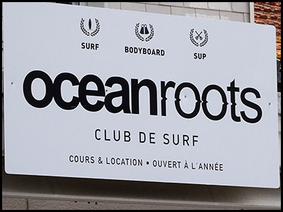 Ocean Roots
