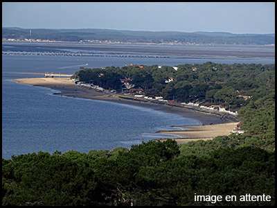 Les Pinasses & les Marins (Pinasse)